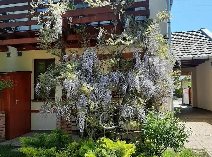 Aqua Apartament *